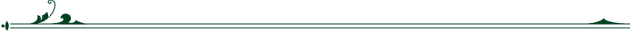 cta border top img sp